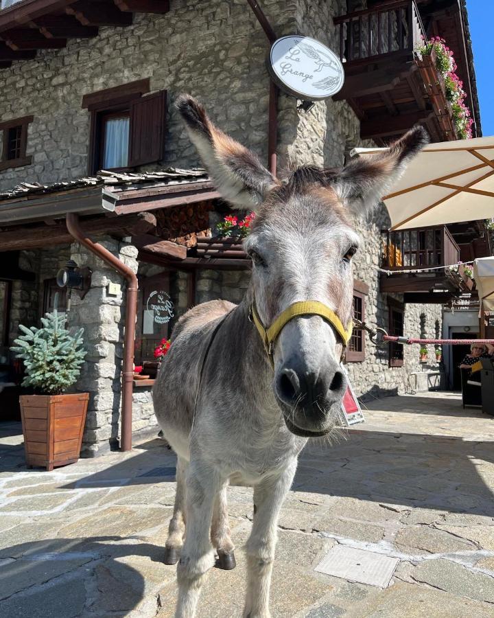 Hotel La Grange - Animal Chic Hotel Courmayeur Exterior photo